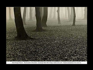Landscape show file