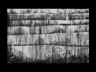 Landscape show file