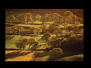 Landscape show file