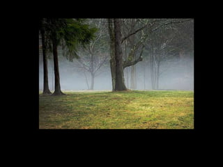 Landscape show file
