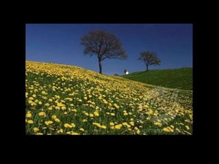 Landscape show file