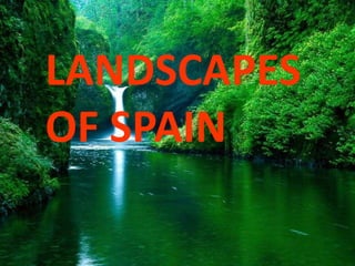 LANDSCAPES
OF SPAIN

 