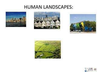 HUMAN LANDSCAPES:
