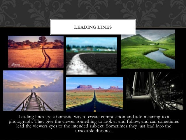 Landscape Types - Landscape Types