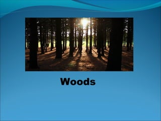 Woods
 