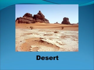 Desert
 