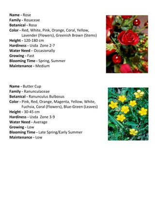 Name - Rose
Family - Rosaceae
Botanical - Rosa
Color - Red, White, Pink, Orange, Coral, Yellow,
        Lavender (Flowers), Greenish Brown (Stems)
Height - 120-180 cm
Hardiness - Usda Zone 2-7
Water Need - Occasionally
Growing - Fast
Blooming Time - Spring, Summer
Maintenance - Medium



Name - Butter Cup
Family - Ranunculaceae
Botanical - Ranunculus Bulbosus
Color - Pink, Red, Orange, Magenta, Yellow, White,
        Fuchsia, Coral (Flowers), Blue-Green (Leaves)
Height - 30-45 cm
Hardiness - Usda Zone 3-9
Water Need - Average
Growing - Low
Blooming Time - Late Spring/Early Summer
Maintenance - Low
 