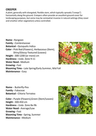 CREEPER
A plant, generally with elongated, flexible stem, which typically spreads (“creeps”)
horizontally along the ground. Creepers often provide an excellent ground cover for
landscaping purposes, but some may be somewhat invasive in natural settings (they cover
and smother other vegetation) unless controlled.




Name - Rangoon
Family - Combretaceae
Botanical - Quisqualis Indica
Color - Pink Red (Flowers), Herbaceous (Stem),
        Shiny/Glossy-Textured (Leaves)
Height - 300-1200 (or more) cm
Hardiness - Usda Zone 9-11
Water Need - Medium
Growing - Fast
Blooming Time - Late Spring/Early Summer, Mid Fall
Maintenance - Easy




Name - Butterfly-Pea
Family - Fabaceae
Botanical - Clitoria Ternatea

Color - Purple (Flowers),Green (Stem/Leaves)
Height - 300-450 cm
Hardiness - Usda Zone 8a-9b
Water Need - Average/Low
Growing - Fast
Blooming Time - Spring, Summer
Maintenance - Medium
 