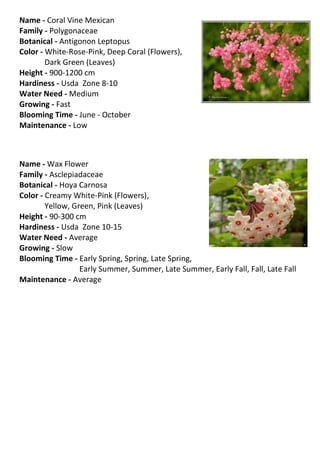 Name - Coral Vine Mexican
Family - Polygonaceae
Botanical - Antigonon Leptopus
Color - White-Rose-Pink, Deep Coral (Flowers),
        Dark Green (Leaves)
Height - 900-1200 cm
Hardiness - Usda Zone 8-10
Water Need - Medium
Growing - Fast
Blooming Time - June - October
Maintenance - Low



Name - Wax Flower
Family - Asclepiadaceae
Botanical - Hoya Carnosa
Color - Creamy White-Pink (Flowers),
        Yellow, Green, Pink (Leaves)
Height - 90-300 cm
Hardiness - Usda Zone 10-15
Water Need - Average
Growing - Slow
Blooming Time - Early Spring, Spring, Late Spring,
                  Early Summer, Summer, Late Summer, Early Fall, Fall, Late Fall
Maintenance - Average
 