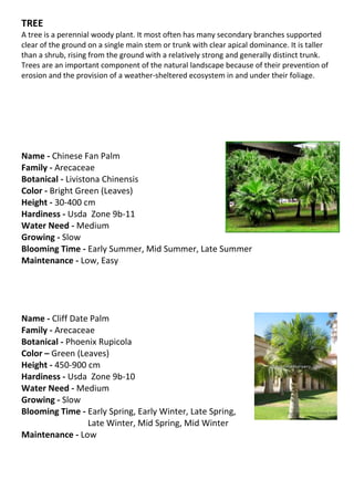 TREE
A tree is a perennial woody plant. It most often has many secondary branches supported
clear of the ground on a single main stem or trunk with clear apical dominance. It is taller
than a shrub, rising from the ground with a relatively strong and generally distinct trunk.
Trees are an important component of the natural landscape because of their prevention of
erosion and the provision of a weather-sheltered ecosystem in and under their foliage.




Name - Chinese Fan Palm
Family - Arecaceae
Botanical - Livistona Chinensis
Color - Bright Green (Leaves)
Height - 30-400 cm
Hardiness - Usda Zone 9b-11
Water Need - Medium
Growing - Slow
Blooming Time - Early Summer, Mid Summer, Late Summer
Maintenance - Low, Easy




Name - Cliff Date Palm
Family - Arecaceae
Botanical - Phoenix Rupicola
Color – Green (Leaves)
Height - 450-900 cm
Hardiness - Usda Zone 9b-10
Water Need - Medium
Growing - Slow
Blooming Time - Early Spring, Early Winter, Late Spring,
                 Late Winter, Mid Spring, Mid Winter
Maintenance - Low
 