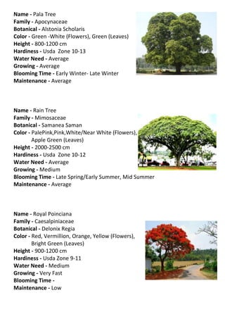 Name - Pala Tree
Family - Apocynaceae
Botanical - Alstonia Scholaris
Color - Green -White (Flowers), Green (Leaves)
Height - 800-1200 cm
Hardiness - Usda Zone 10-13
Water Need - Average
Growing - Average
Blooming Time - Early Winter- Late Winter
Maintenance - Average



Name - Rain Tree
Family - Mimosaceae
Botanical - Samanea Saman
Color - PalePink,Pink,White/Near White (Flowers),
        Apple Green (Leaves)
Height - 2000-2500 cm
Hardiness - Usda Zone 10-12
Water Need - Average
Growing - Medium
Blooming Time - Late Spring/Early Summer, Mid Summer
Maintenance - Average



Name - Royal Poinciana
Family - Caesalpiniaceae
Botanical - Delonix Regia
Color - Red, Vermillion, Orange, Yellow (Flowers),
        Bright Green (Leaves)
Height - 900-1200 cm
Hardiness - Usda Zone 9-11
Water Need - Medium
Growing - Very Fast
Blooming Time -
Maintenance - Low
 