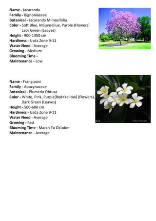 Name - Jacaranda
Family - Bignoniaceae
Botanical - Jacaranda Mimosifolia
Color - Soft Blue, Mauve-Blue, Purple (Flowers)
        Lacy Green (Leaves)
Height - 900-1350 cm
Hardiness - Usda Zone 9-11
Water Need - Average
Growing - Medium
Blooming Time -
Maintenance - Low



Name - Frangipani
Family - Apocynaceae
Botanical - Plumeria Obtusa
Color - White, Pink, Purple[Red+Yellow] (Flowers),
        Dark Green (Leaves)
Height - 500-600 cm
Hardiness - Usda Zone 9-11
Water Need - Average
Growing - Fast
Blooming Time - March To October
Maintenance - Average
 
