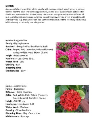 SHRUB
A perennial plant, lower than a tree, usually with many persistent woody stems branching
from or near the base. The term is approximate, and no clear-cut distinction between tall
shrubs and low trees exists. Indeed, many tree species may grow as low shrubs if stunted
(e.g. in shallow soil, and in exposed areas, carob trees may develop a very prostrate habit)
and vice-versa (e.g. the Maltese salt tree Darniella melitensis and the rosemary Rosmarinus
officinalis may occasionally reach large sizes.




Name - Bougainvillea
Family - Nyctaginaceae
Botanical - Bougainvillea Brasiliensis Bush
Color - Purple; Red; Lavender; Yellow (Flowers),
        Variegated (Leaves), Brown (Stem)
Height - Upto-900 Cm
Hardiness - Usda Zone 9b-11
Water Need - Low
Growing - Fast
Blooming Time -
Maintenance - Easy




Name - Jungle Flame
Family - Rubiaceae
Botanical - Ixora Coccinea
Color - Red, White, Pink, Yellow (Flowers),
        Green (Leaves), Dark Red (Stems)
Height - 90-240 cm
Hardiness - Usda Zones 9-11
Water Need - Medium
Growing - Slow- Medium
Blooming Time - May - September
Maintenance - Average
 