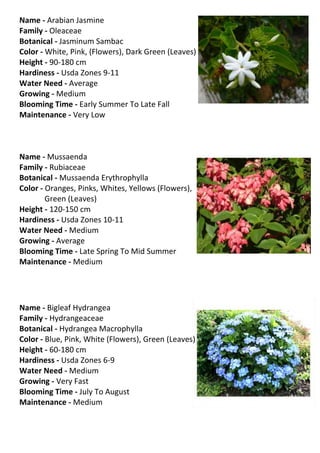 Name - Arabian Jasmine
Family - Oleaceae
Botanical - Jasminum Sambac
Color - White, Pink, (Flowers), Dark Green (Leaves)
Height - 90-180 cm
Hardiness - Usda Zones 9-11
Water Need - Average
Growing - Medium
Blooming Time - Early Summer To Late Fall
Maintenance - Very Low



Name - Mussaenda
Family - Rubiaceae
Botanical - Mussaenda Erythrophylla
Color - Oranges, Pinks, Whites, Yellows (Flowers),
        Green (Leaves)
Height - 120-150 cm
Hardiness - Usda Zones 10-11
Water Need - Medium
Growing - Average
Blooming Time - Late Spring To Mid Summer
Maintenance - Medium




Name - Bigleaf Hydrangea
Family - Hydrangeaceae
Botanical - Hydrangea Macrophylla
Color - Blue, Pink, White (Flowers), Green (Leaves)
Height - 60-180 cm
Hardiness - Usda Zones 6-9
Water Need - Medium
Growing - Very Fast
Blooming Time - July To August
Maintenance - Medium
 