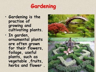Gardening
• Gardening is the
practise of
growing and
cultivating plants.
• In garden,
ornamental plants
are often grown
for their flowers,
foilage, useful
plants, such as
vegetable ,fruits,
herbs and flower .
 