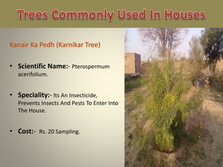 • Scientific Name:- Pterospermum
acerifolium.
• Speciality:- Its An Insecticide,
Prevents Insects And Pests To Enter Into
The House.
• Cost:- Rs. 20 Sampling.
 