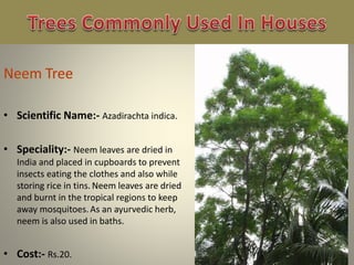 • Scientific Name:- Azadirachta indica.
• Speciality:- Neem leaves are dried in
India and placed in cupboards to prevent
insects eating the clothes and also while
storing rice in tins. Neem leaves are dried
and burnt in the tropical regions to keep
away mosquitoes.As an ayurvedic herb,
neem is also used in baths.
• Cost:- Rs.20.
 