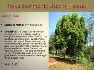 • Scientific Name:- Syzygium cumini.
• Speciality:- Its wood is used to make
cheap furniture and village dwellings
though it is relatively hard to work on. The
fruit has a combination of sweet, mildly
sour and astringent flavour and tends to
colour the tongue purple. The seed is also
used in various alternative healing systems
like Ayurveda (to control diabetes, for
digestive ailments). The pulp of the fruit,
extracts from the bark and seeds is of
great benefit when it comes to lowering of
blood glucose level.
• Cost:- Rs.25.
 