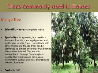 • Scientific Name:- Mangifera indica.
• Speciality:- In ayurveda, it is used in a
Rasayana formula, clearing digestion and
acidity due to pitta (heat), sometimes with
other mild sours. Mango trees can be
converted to lumber once their fruit bearing
lifespan has finished. The wood is
susceptible to damage from fungi and
insects. The wood is used for musical
instruments such as ukeleles, plywood and
low-cost furniture.
• Cost:- Rs. 100.
 