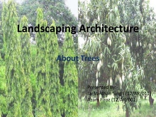 Landscaping Architecture
About Trees
Presented By:-
Jai Vardhan Singh (12/AR/011)
Azam Firoz (12/AR/002)
 