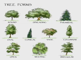 Chapter 1: Introduction of landscape horticulture and it's design | PPTX