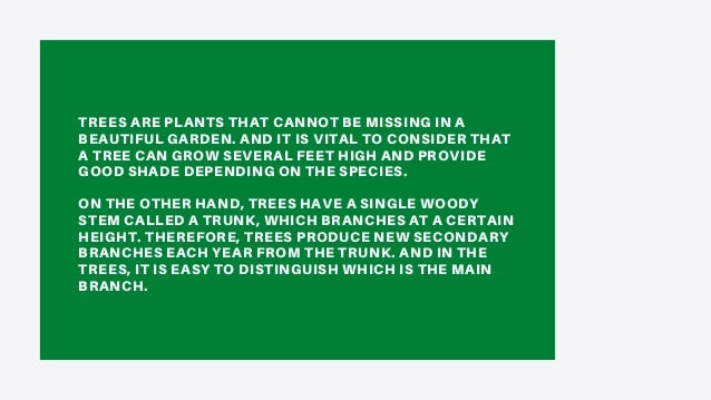 What’s The Difference Between Trees and Shrubs | Landscaping | Charlotte NC