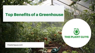 theplantguys.com
Top Benefits of a Greenhouse
 