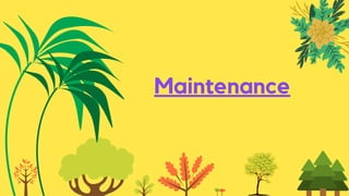 Maintenance
 