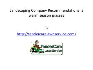 Landscaping Company Recommendations: 5
warm season grasses
BY
http://tendercarelawnservice.com/
 