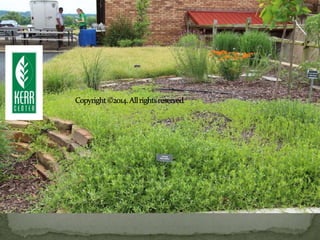 Landscaping for Pollinators in Oklahoma