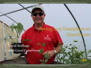  David Redhage
with Giant Coneflower