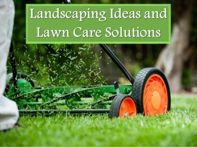 lawn service ideas