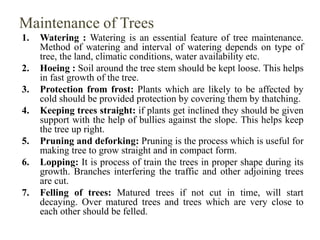 Maintenance of Trees
1. Watering : Watering is an essential feature of tree maintenance.
Method of watering and interval o...