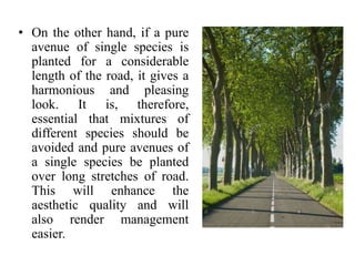 • On the other hand, if a pure
avenue of single species is
planted for a considerable
length of the road, it gives a
harmo...