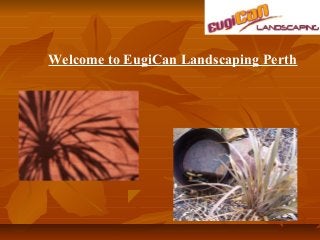 Welcome to EugiCan Landscaping Perth
 