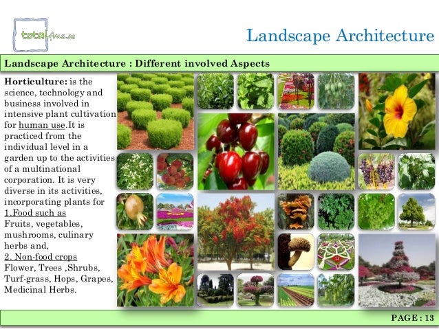 landscaping architecture landscaping architecture