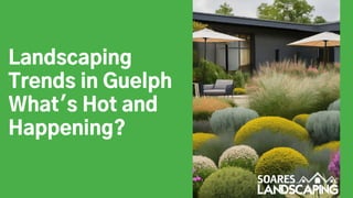 Landscaping
Trends in Guelph
What's Hot and
Happening?
 