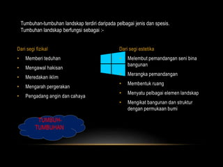 Tumbuhan-tumbuhan landskap terdiri daripada pelbagai jenis dan spesis. 
Tumbuhan landskap berfungsi sebagai :- 
Dari segi fizikal Dari segi estetika 
• Melembut pemandangan seni bina 
bangunan 
• Merangka pemandangan 
• Membentuk ruang 
• Menyatu pelbagai elemen landskap 
• Mengikat bangunan dan struktur 
dengan permukaan bumi 
• Memberi teduhan 
• Mengawal hakisan 
• Meredakan iklim 
• Mengarah pergerakan 
• Pengadang angin dan cahaya 
TUMBUH-TUMBUHAN 
 