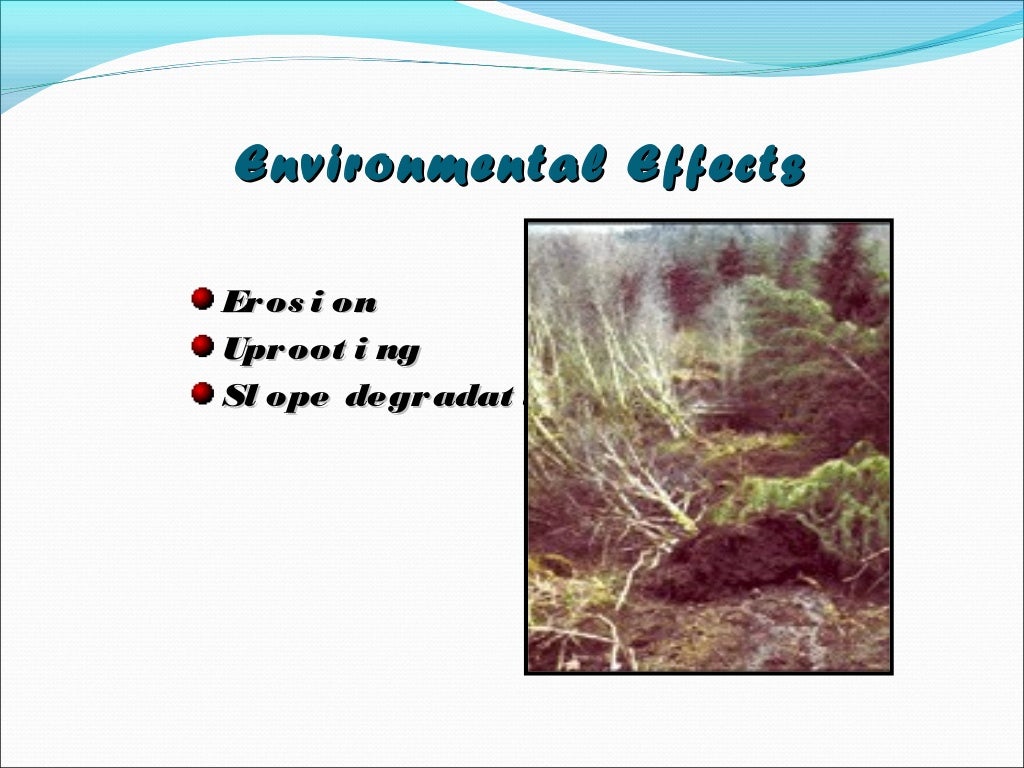 Landslide causes, effects, controls