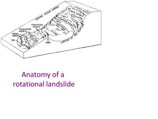 Anatomy of a
rotational landslide
 