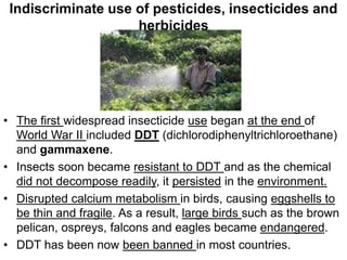 Indiscriminate use of pesticides, insecticides and
herbicides
• The first widespread insecticide use began at the end of
World War II included DDT (dichlorodiphenyltrichloroethane)
and gammaxene.
• Insects soon became resistant to DDT and as the chemical
did not decompose readily, it persisted in the environment.
• Disrupted calcium metabolism in birds, causing eggshells to
be thin and fragile. As a result, large birds such as the brown
pelican, ospreys, falcons and eagles became endangered.
• DDT has been now been banned in most countries.
 