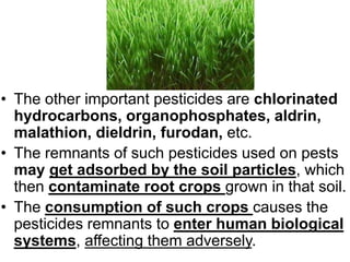 • The other important pesticides are chlorinated
hydrocarbons, organophosphates, aldrin,
malathion, dieldrin, furodan, etc.
• The remnants of such pesticides used on pests
may get adsorbed by the soil particles, which
then contaminate root crops grown in that soil.
• The consumption of such crops causes the
pesticides remnants to enter human biological
systems, affecting them adversely.
 