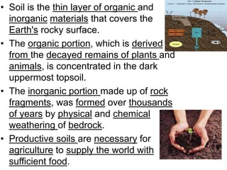 • Soil is the thin layer of organic and
inorganic materials that covers the
Earth's rocky surface.
• The organic portion, which is derived
from the decayed remains of plants and
animals, is concentrated in the dark
uppermost topsoil.
• The inorganic portion made up of rock
fragments, was formed over thousands
of years by physical and chemical
weathering of bedrock.
• Productive soils are necessary for
agriculture to supply the world with
sufficient food.
 