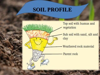 SOIL PROFILE
 