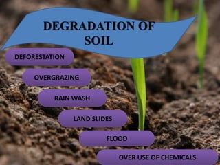 DEGRADATION OF
SOIL
DEFORESTATION
OVERGRAZING
RAIN WASH
OVER USE OF CHEMICALS
LAND SLIDES
FLOOD
 