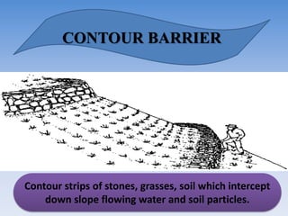 CONTOUR BARRIER
Contour strips of stones, grasses, soil which intercept
down slope flowing water and soil particles.
 