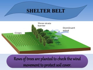 SHELTER BELT
Rows of trees are planted to check the wind
movement to protect soil cover.
 