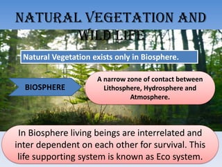 Natural vegetation and
wild life
Natural Vegetation exists only in Biosphere.
BIOSPHERE
A narrow zone of contact between
Lithosphere, Hydrosphere and
Atmosphere.
In Biosphere living beings are interrelated and
inter dependent on each other for survival. This
life supporting system is known as Eco system.
 