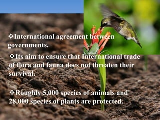 International agreement between
governments.
Its aim to ensure that International trade
of flora and fauna does not threaten their
survival.
Roughly 5,000 species of animals and
28,000 species of plants are protected.
 