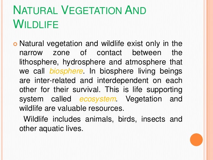 essay on natural vegetation and wildlife
